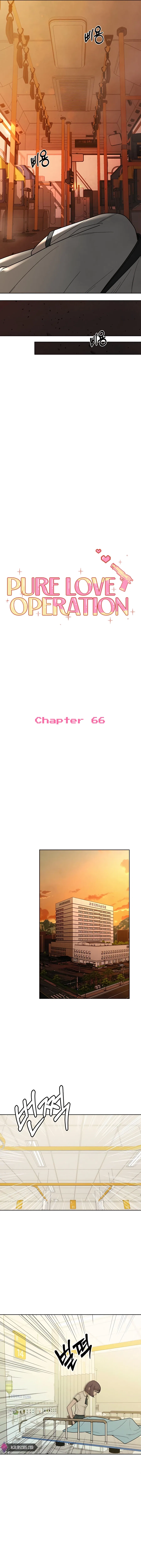 Pure Love Operation Chapter 66 – Page 8