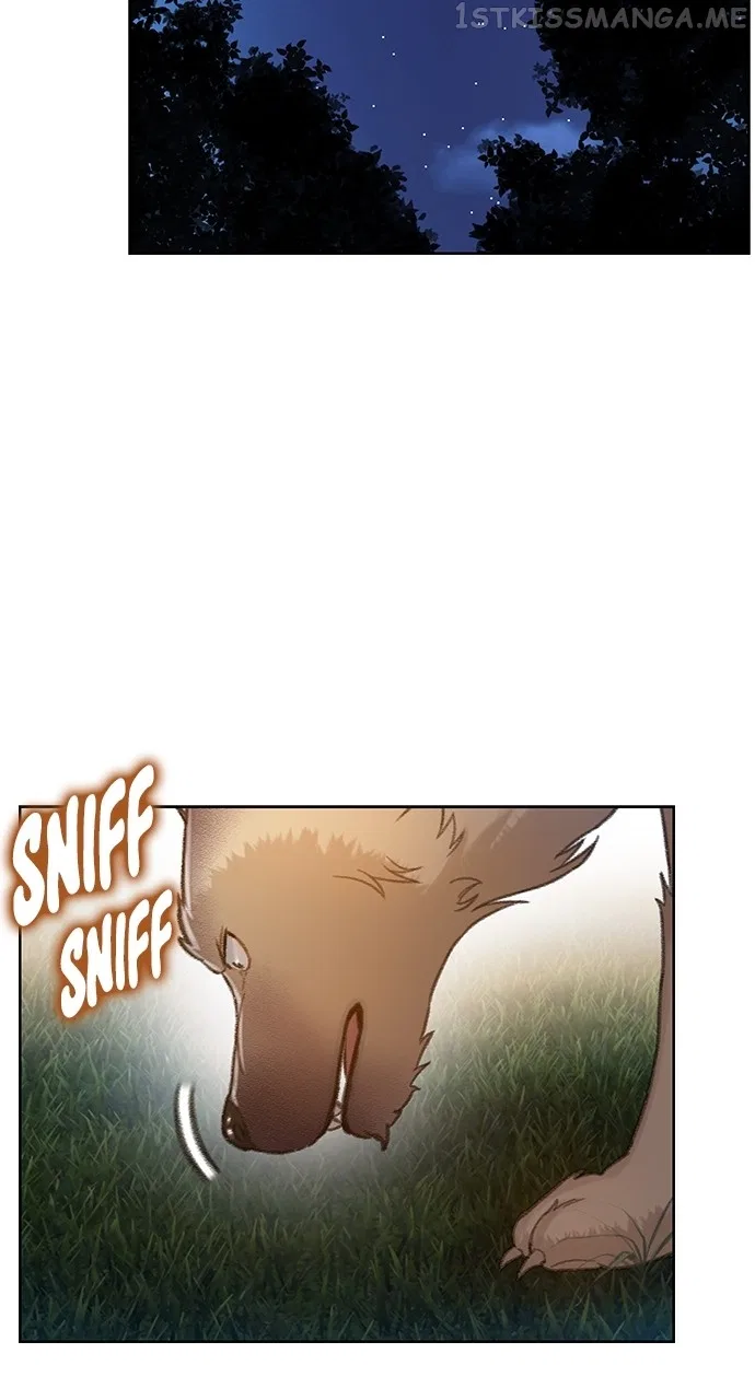 Dark Moon: The Grey City Chapter 16 – Page 72