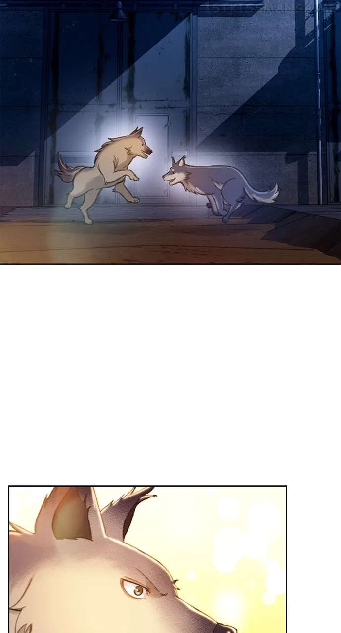 Dark Moon: The Grey City Chapter 12 – Page 93