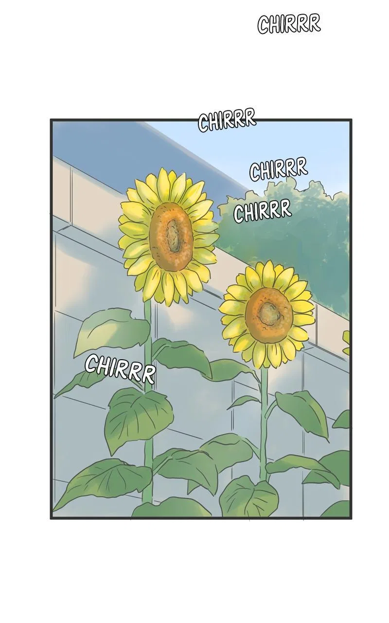 It Rains on Precious Days Chapter 119 – Page 67