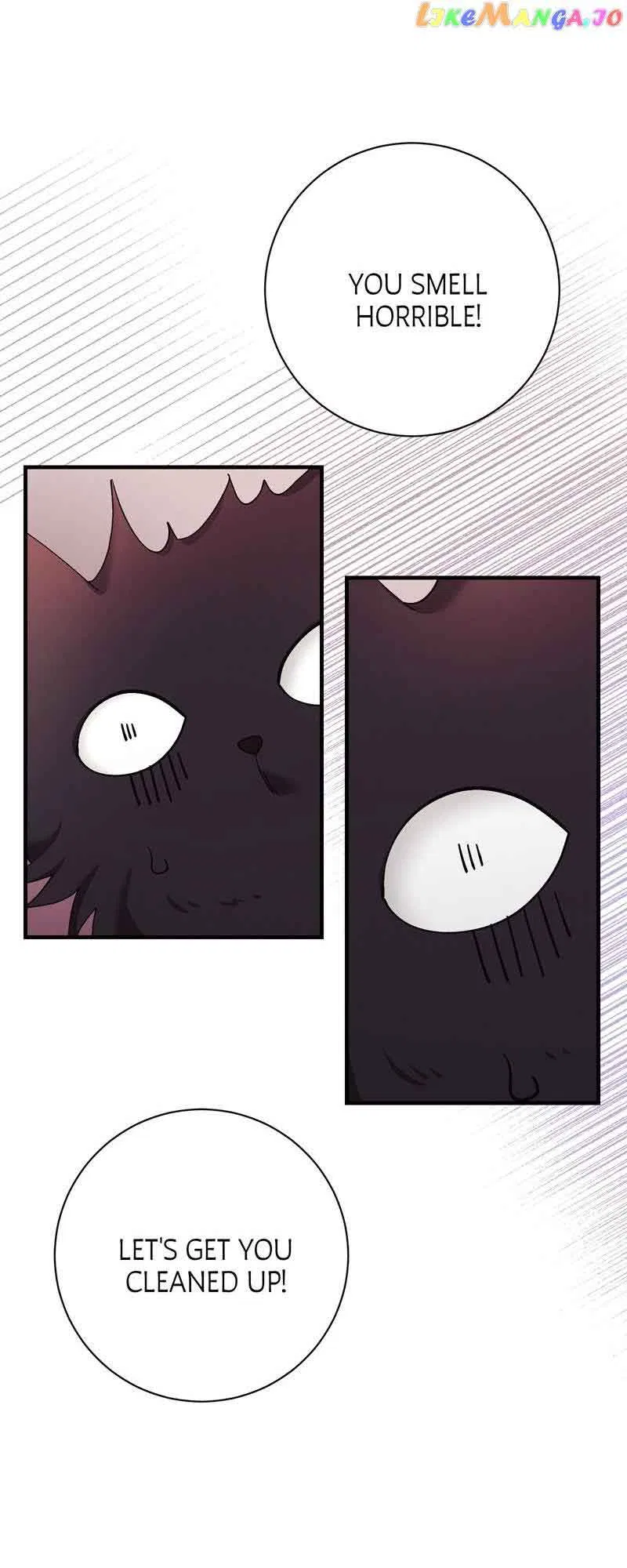 He’s Now Healthy-Perhaps Too Much Chapter 21 – Page 53