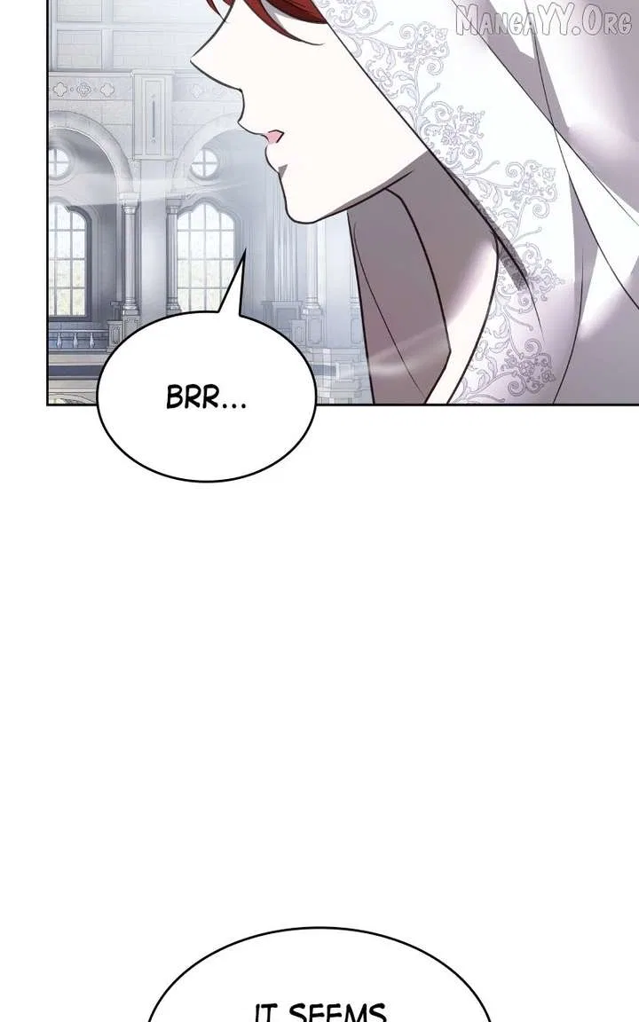 Describe Your Feeling When Being Reincarnated as Your Husband’s Mistress Chapter 74 – Page 29