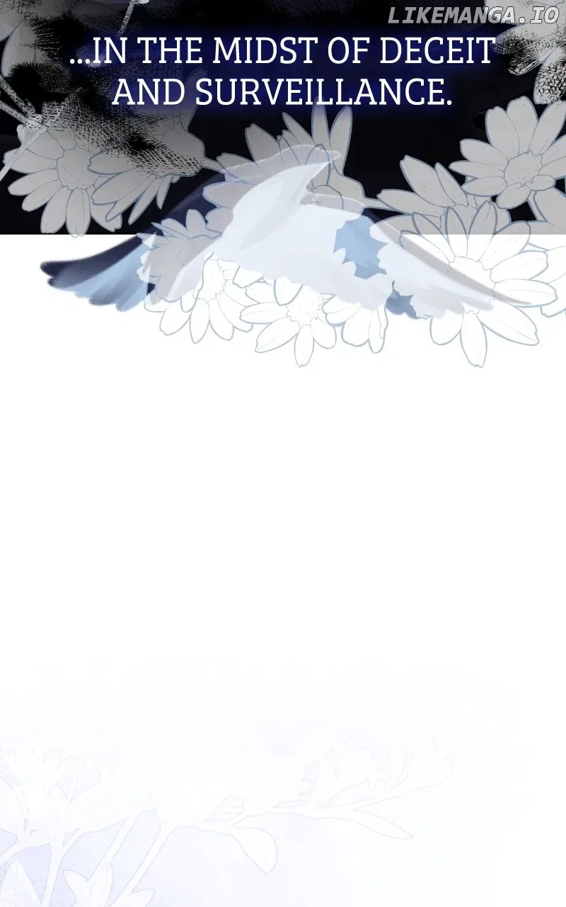 Describe Your Feeling When Being Reincarnated as Your Husband’s Mistress Chapter 47 – Page 11