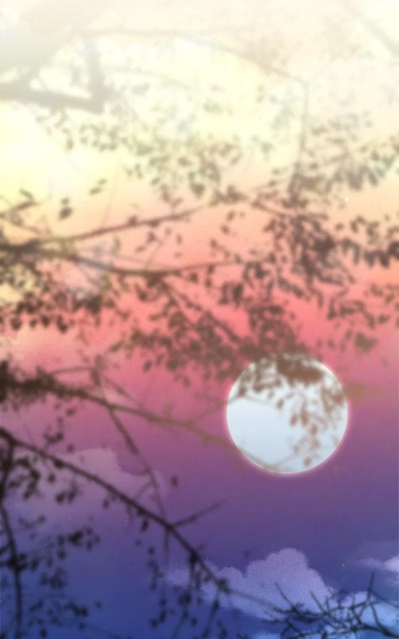Where the Golden Rose Was Plucked Chapter 49 – Page 11