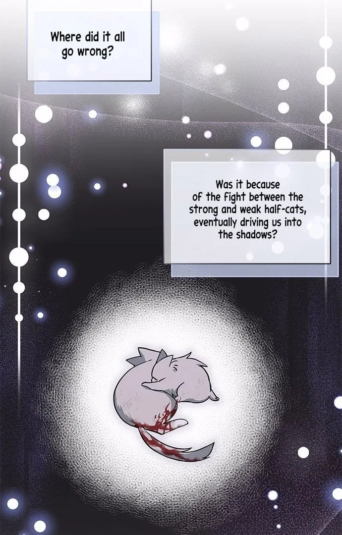 You’re a Cat, But You’ve Been Adopted by a Wolf Family? Chapter 1 – Page 36