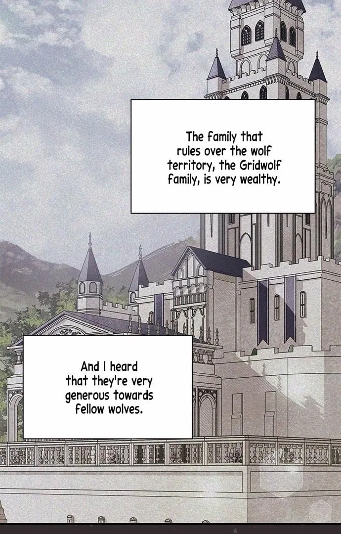You’re a Cat, But You’ve Been Adopted by a Wolf Family? Chapter 1 – Page 61