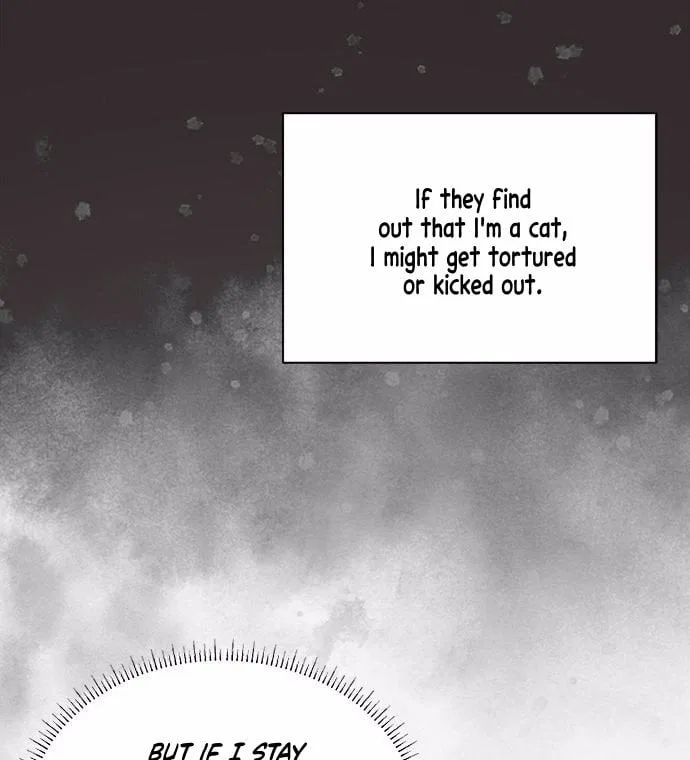 You’re a Cat, But You’ve Been Adopted by a Wolf Family? Chapter 1 – Page 62