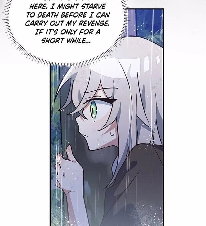 You’re a Cat, But You’ve Been Adopted by a Wolf Family? Chapter 1 – Page 63