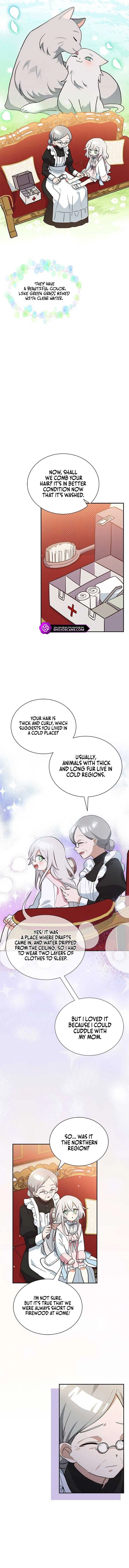 You’re a Cat, But You’ve Been Adopted by a Wolf Family? Chapter 4 – Page 9