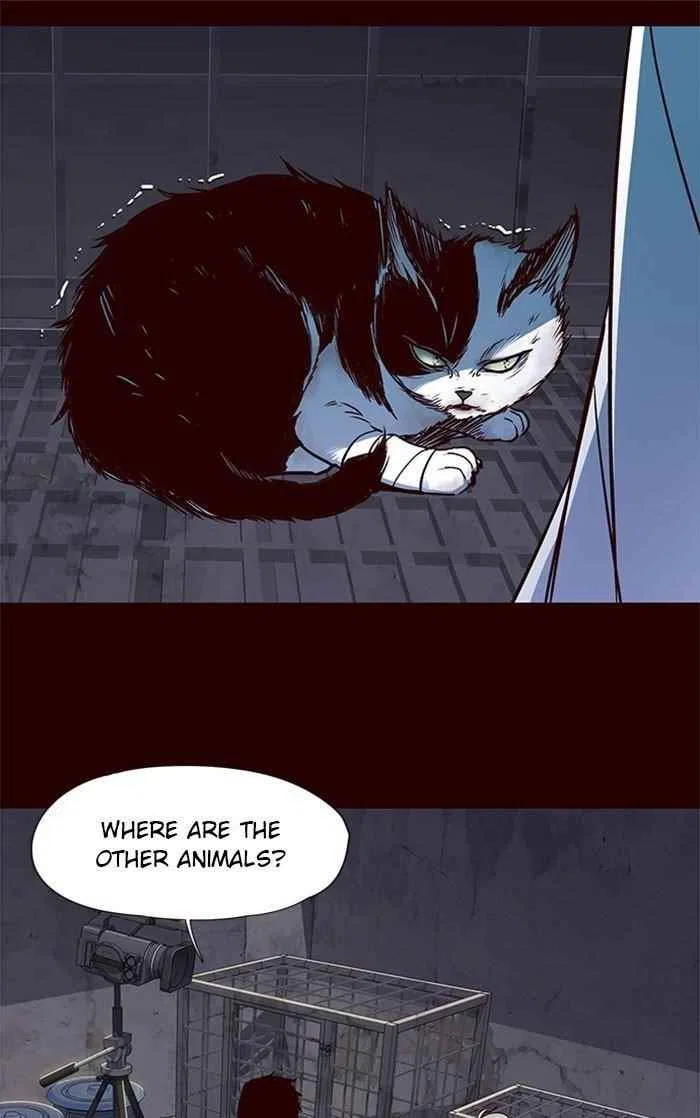 Eleceed Chapter 36 – Page 10