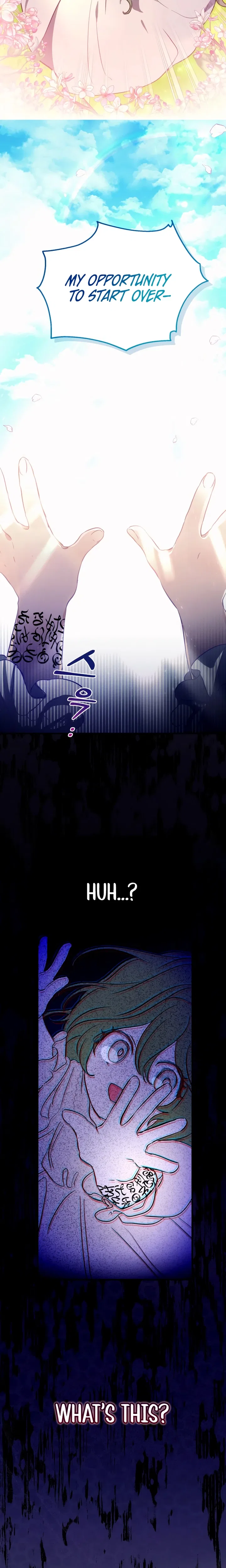 I Became the Contract Daughter of the soon-to-be-ruined Family Chapter 2 – Page 4