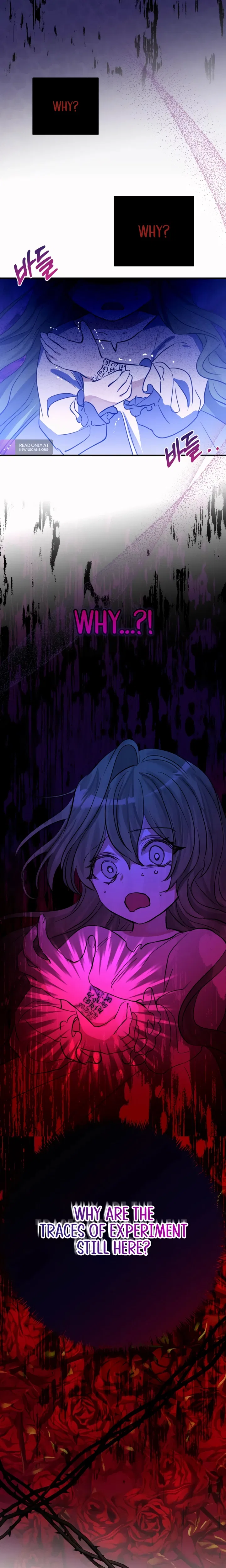 I Became the Contract Daughter of the soon-to-be-ruined Family Chapter 2 – Page 5