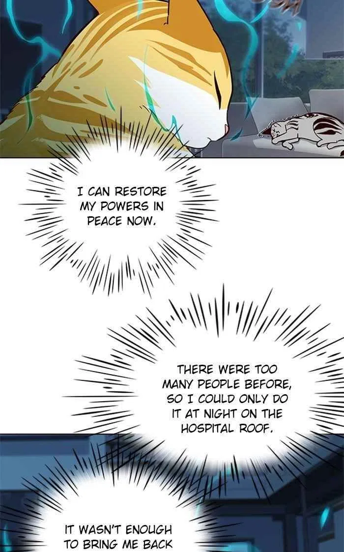 Eleceed Chapter 37 – Page 44
