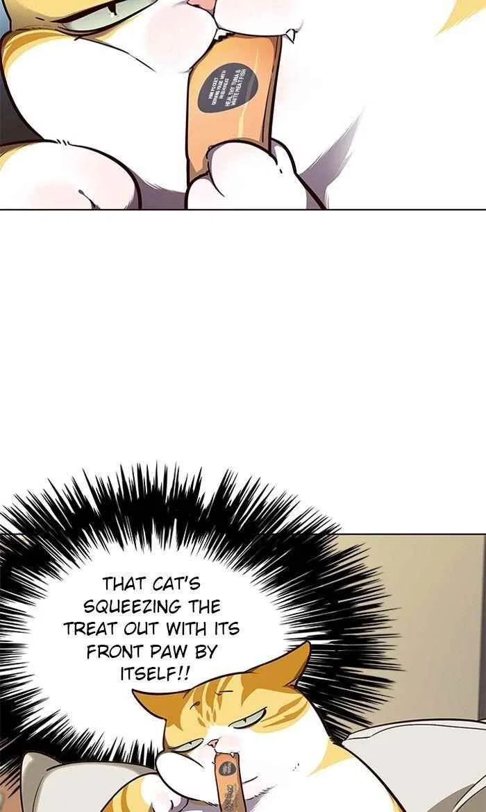 Eleceed Chapter 50 – Page 7