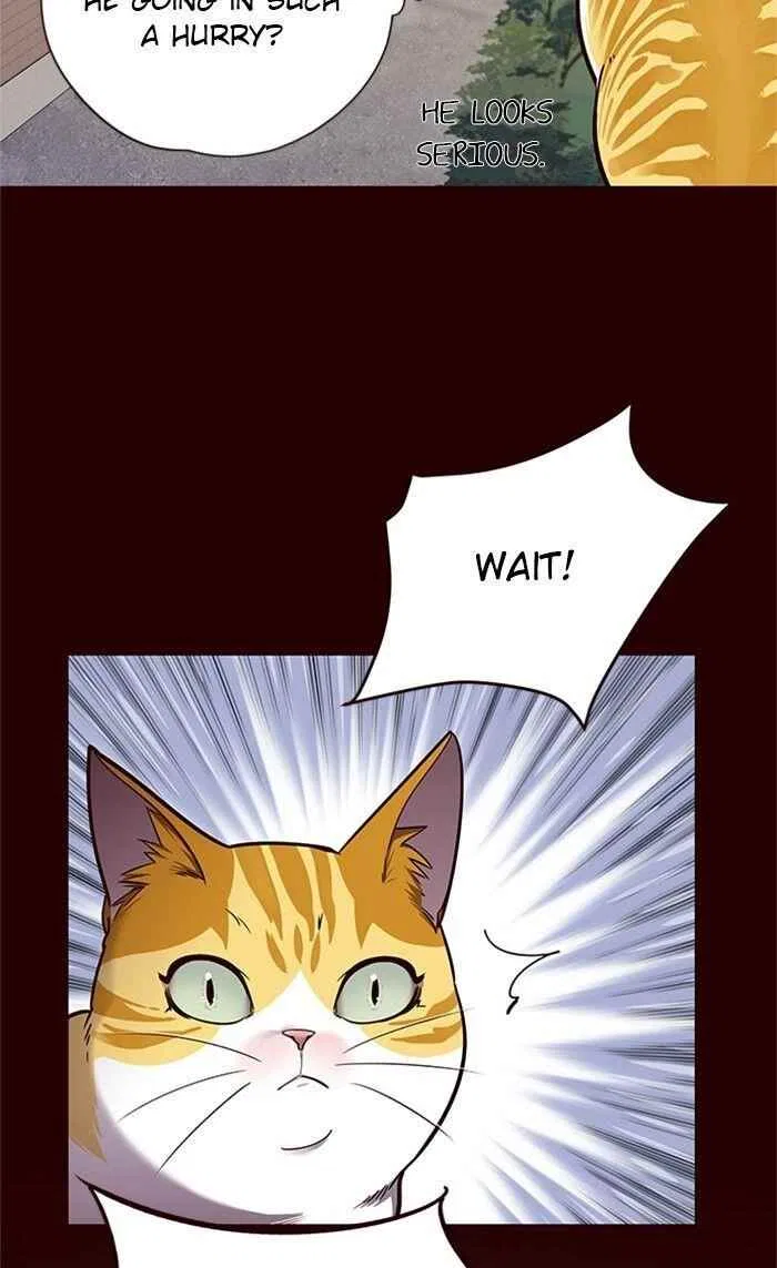 Eleceed Chapter 52 – Page 40